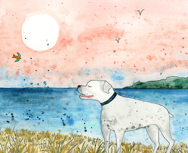 Natalie Alexander author